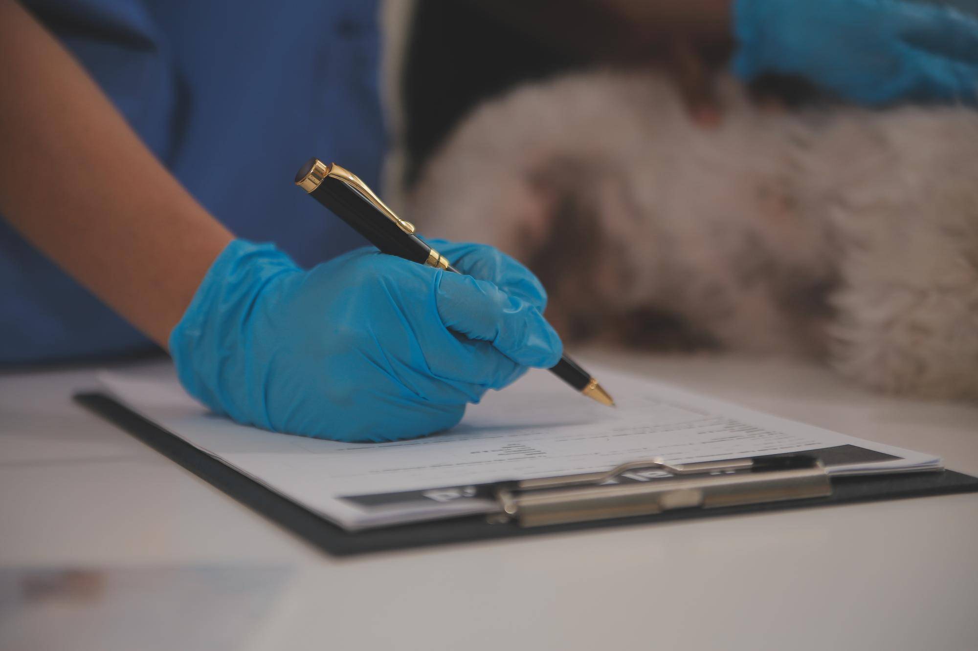 Jak działa numer weterynaryjny wyszukiwarka i rejestracja zwierząt?